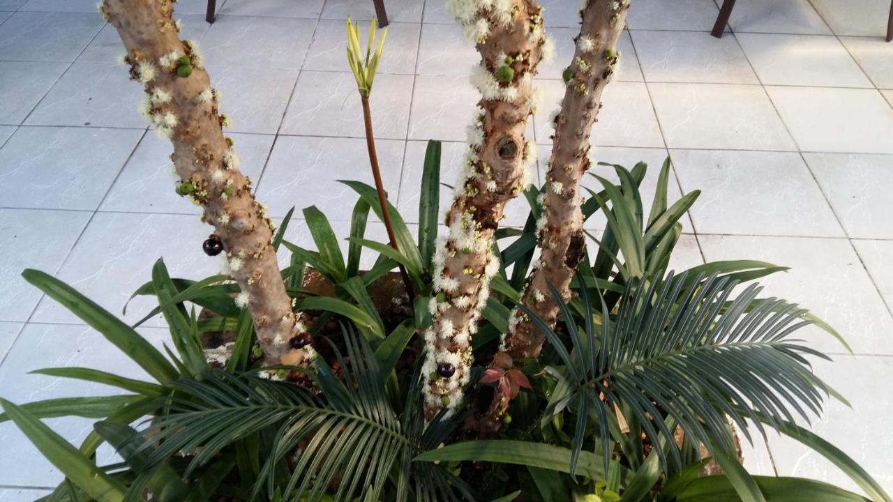 Hostel Pajucara Maceió Eksteriør billede