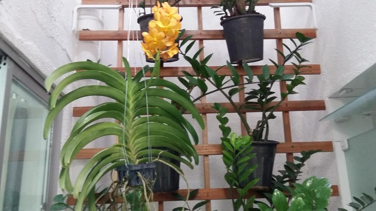 Hostel Pajucara Maceió Eksteriør billede